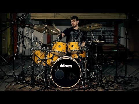 ddrum-dominion-6-piece-kit---gloss-natural