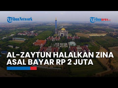 Video: Siapa yang meletakkan pimento dalam buah zaitun?