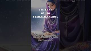 Download Lagu 038. SHAD 50 - 58 VOICE SYEIKH ALAA AQEL #alquran #juz23 #murotal #murotalharian MP3
