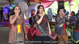 PAMBUKO - TEMBANG KANGEN - CS SEKAR ARUM - ALVA PUTRA Audio - PERMATA HD