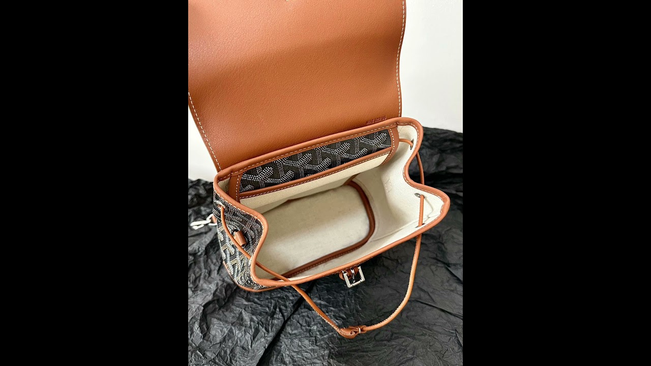 Goyard Alpin MM Backpack - Review I Unbox I Detail #shorts 