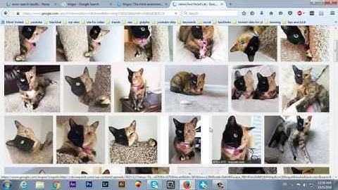 How To Use Reddit Part 2 Urdu Hindi Tutorial