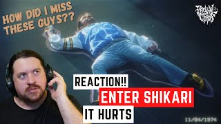I Discover The Magic of Enter Shikari - It Hurts - Reaction/Analysis
