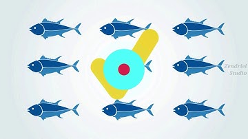 Seafood Ninja | Explainer Video by Zendriel Studio