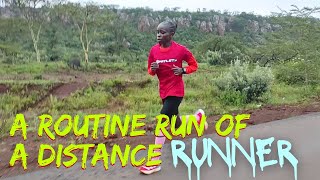 : A weekly Long run routine of a distance runner | @lydiarun254