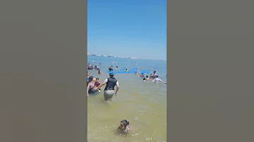 بحر الاسكندريه 