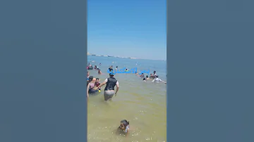 بحر الاسكندريه 