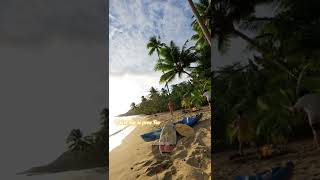 Me Fui de Vacaciones - Bad Bunny (Video Letra/Lyrics) en la Playa 360° Para dedicar