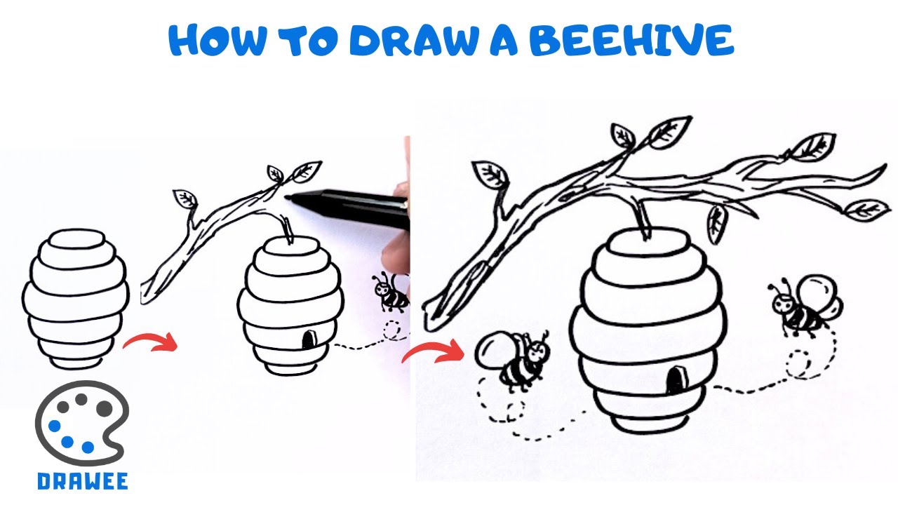How to draw a Beehive
