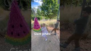 Can’t crack open this giant piñata #pinata #twins #cute #funny #outdoors #wacking #dad #play