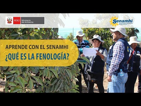 Video: Fenología Jardín Información - Aprenda sobre la fenología de las plantas