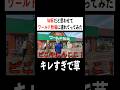 サッカー日本代表チュニジア戦勝てるの?#w杯 #オランダ #日本代表 #サッカー #サッカー日本代表 #森保ジャパン