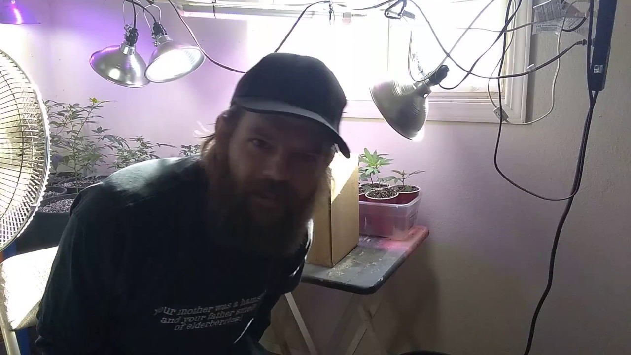 Shout out to Paul at X-Nutrients