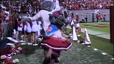 Mr and Ms Wuf during FSU football 10/28/10