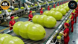 Inside an Automated Amla Factory – From Fruit Sorting to Premium Juice (Full Process)
