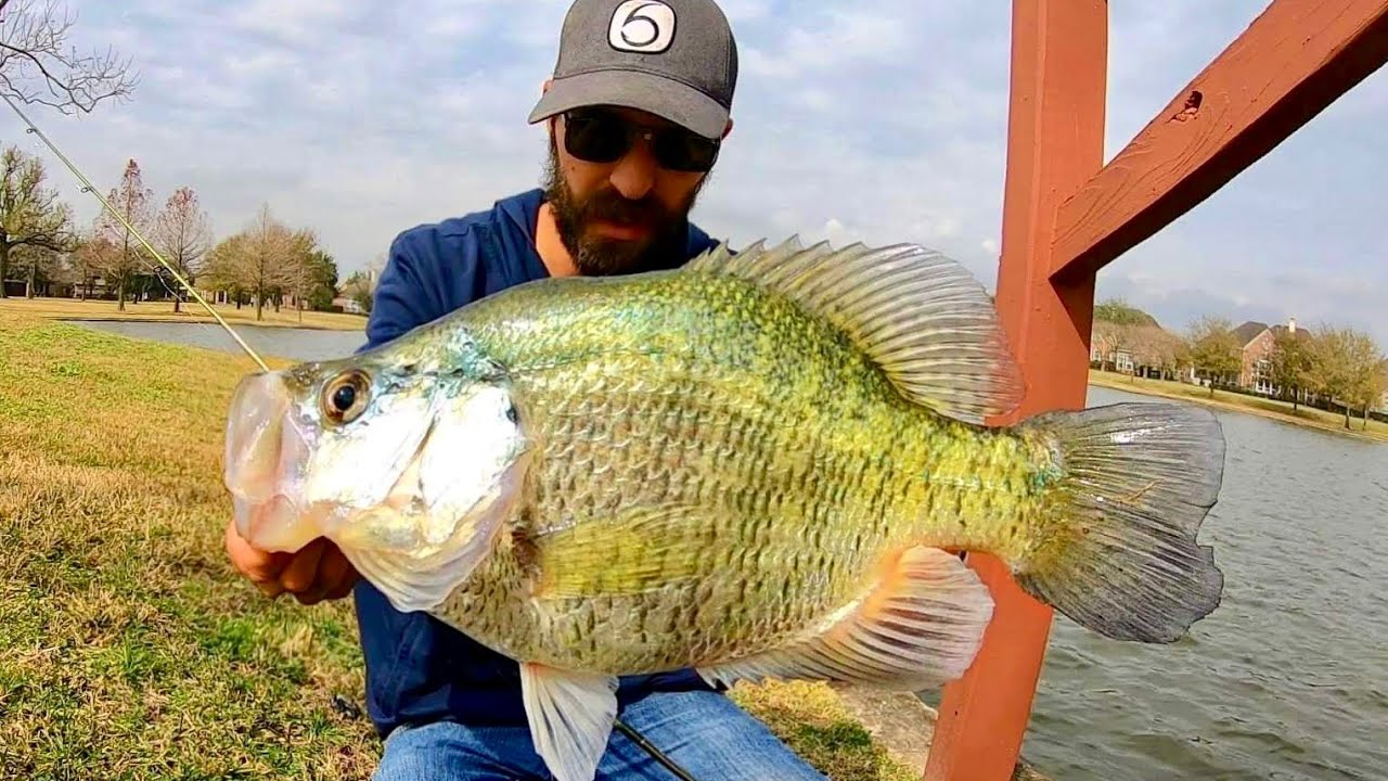 Crappie & Panfish Fishing