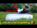 ഒരു പൊട്ടിത്തെറി പരീക്ഷണം | Sodium Metal V/S Ice Block 🥶🔥🥵