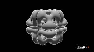 Reaction Diffusion Studies in SideFX Houdini