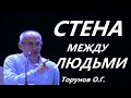 Стена между людьми. Преодоление трудных ситуаций. Торсунов О.Г.