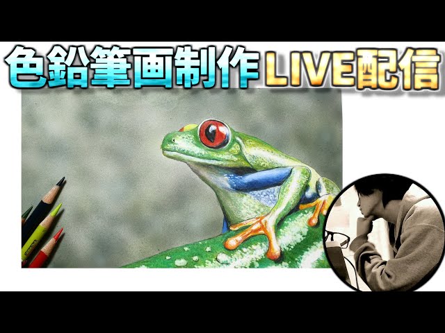 色鉛筆画制作LIVE】＃1 カエルちゃん - YouTube