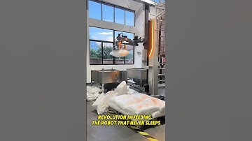 Revolution In Feeding: The Robot Never Sleeps😎 #depalletizing #palletizer #automation #unloading