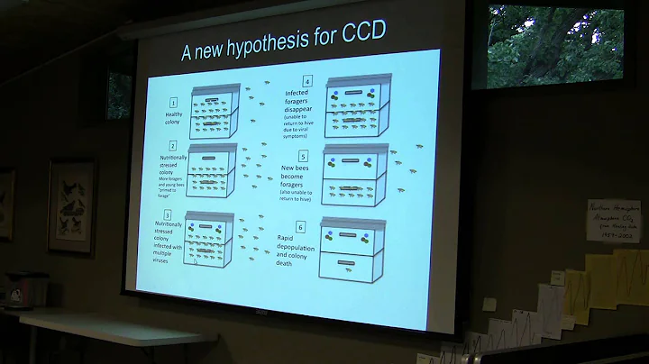 Amy Toth Faculty Lecture