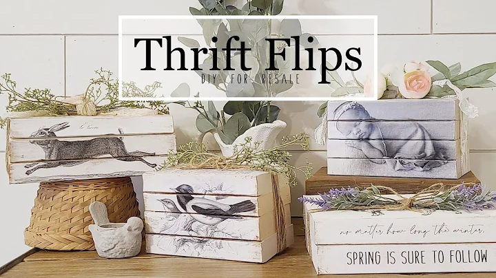 Thrift Flips  Paper Back Book Sets   DIY   Easy Ch...