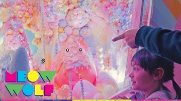 Kids Review Meow Wolf Santa Fe