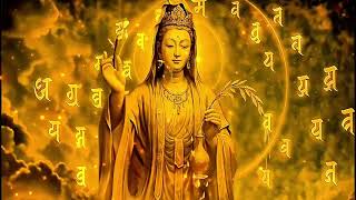 Nhc Nim Ch i Bi  Gii Tr Nghip Chng 