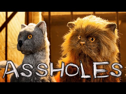 MY CAT IS AN ASSHOLE