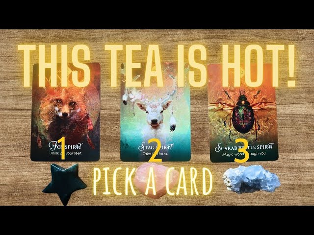 💕 SPILLING THE TEA ON THIS CONNECTION! You Need to Know *THIS* About Your Person! 👀✨ PICK A CARD class=