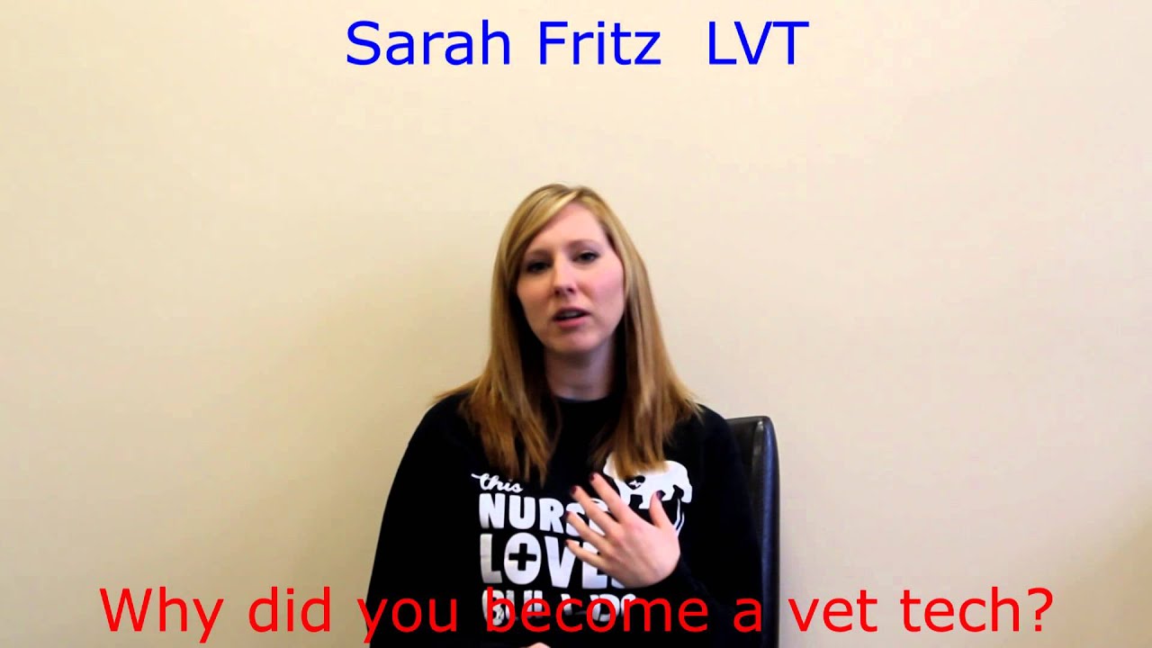 Sarah Fritz LVT Urgent Pet Care Omaha YouTube