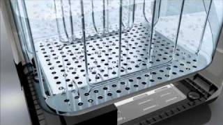 Lavalobe 3D Animation Reel