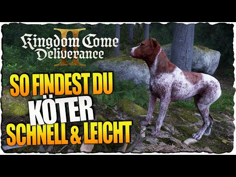 kein Name: Guide - So findest du den Hund Köter schnell & einfach ohne die Quest abzuschließen