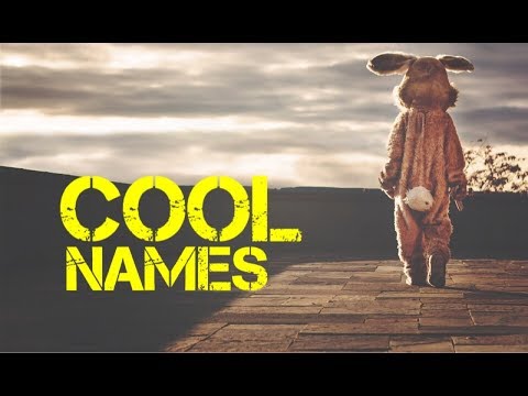 boy-rabbit-names-beginning-with-p---youtube