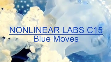 Nonlinear Labs C15: Blue Moves (by Matthias Fuchs)