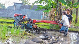 Kerja Sama! Kakak Adik Kompak Membajak Dengan Traktor Sawah Quick G1000 Boxer Dilahan Sangat Basah