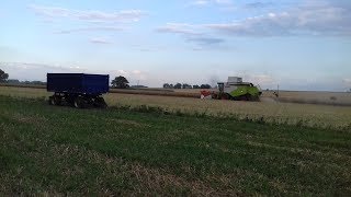 Żniwa Rzepakowe 2018 Claas Tucano 440