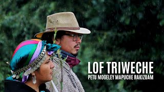 Lof Triweche: Petu mogeley mapuche rakizuam - Documental