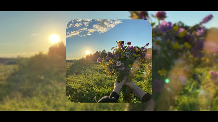 Песни с вайбом весна-лето
