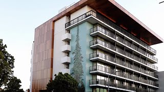 Montalba Architects: Nobu Palo Alto