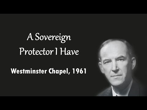 A Sovereign Protector