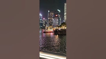 The Merlion 😍