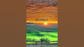 سورة المزمل الآية (٢٠) بصوت القارئ إسلام صبحي