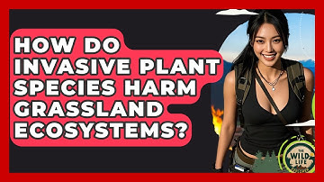 How Do Invasive Plant Species Harm Grassland Ecosystems? - The Wild Life Explorer