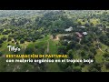 Restauración de pasturas con materia orgánica en el tropico bajo - TvAgro por Juan Gonzalo Angel