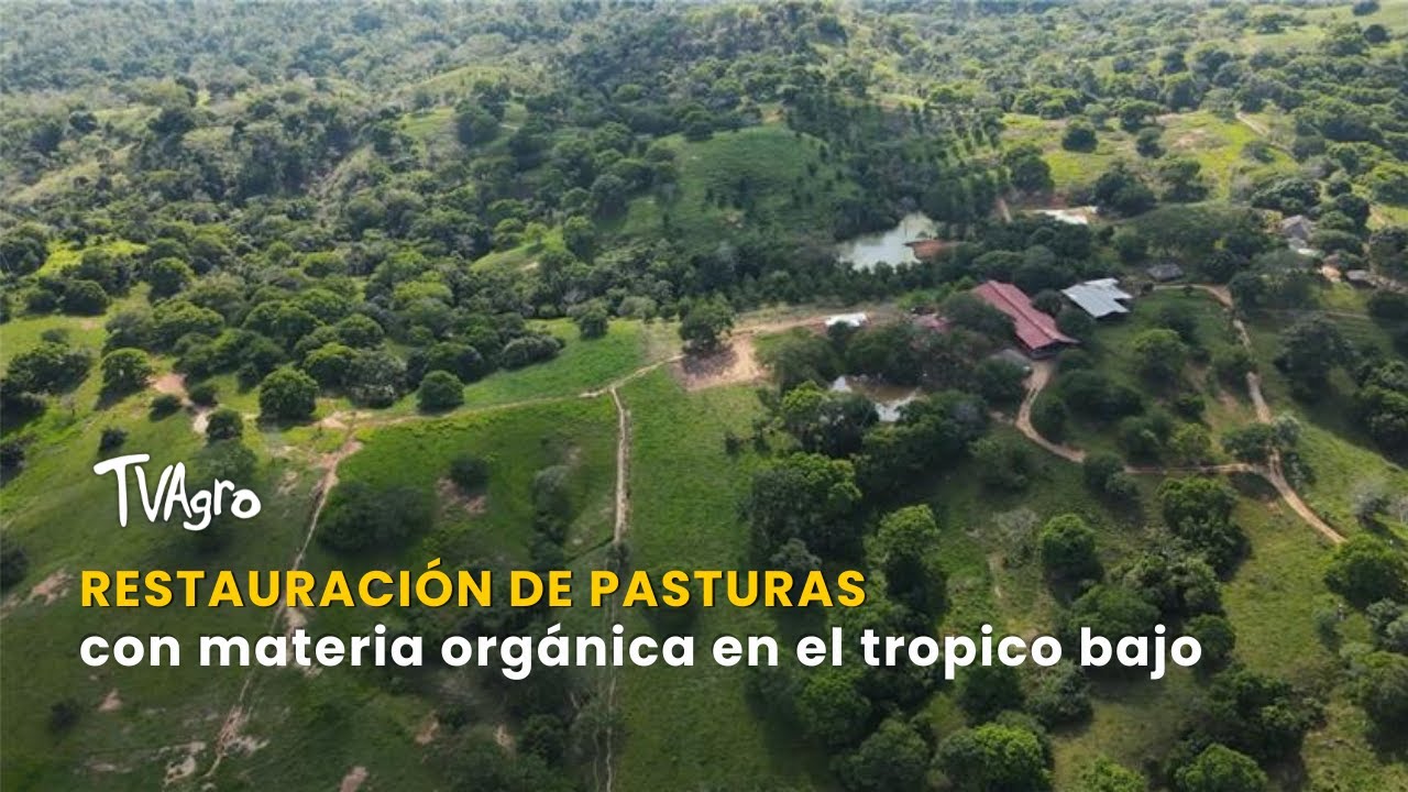 Restauración de pasturas con materia orgánica en el tropico bajo - TvAgro por Juan Gonzalo Angel