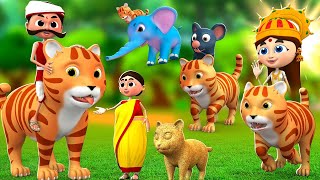 जादुई बिल्ली की कहानियाँ - Magical Cat Stories Compilation | Hindi Stories Moral Kahaniya | JOJO TV