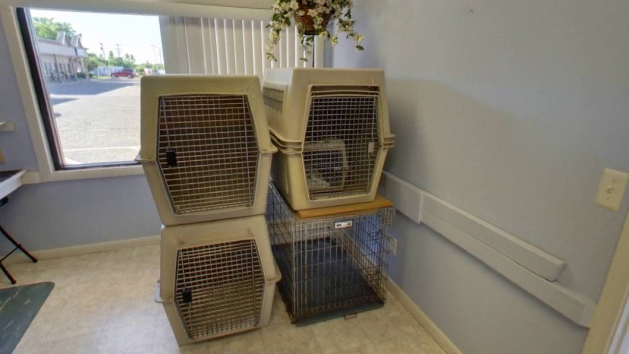 Perfect Paws Pet Salon Plymouth, MI Pet Services YouTube