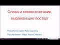 1463. Слова и словосочетания, выражающие восторг. Учим иврит с восхищением